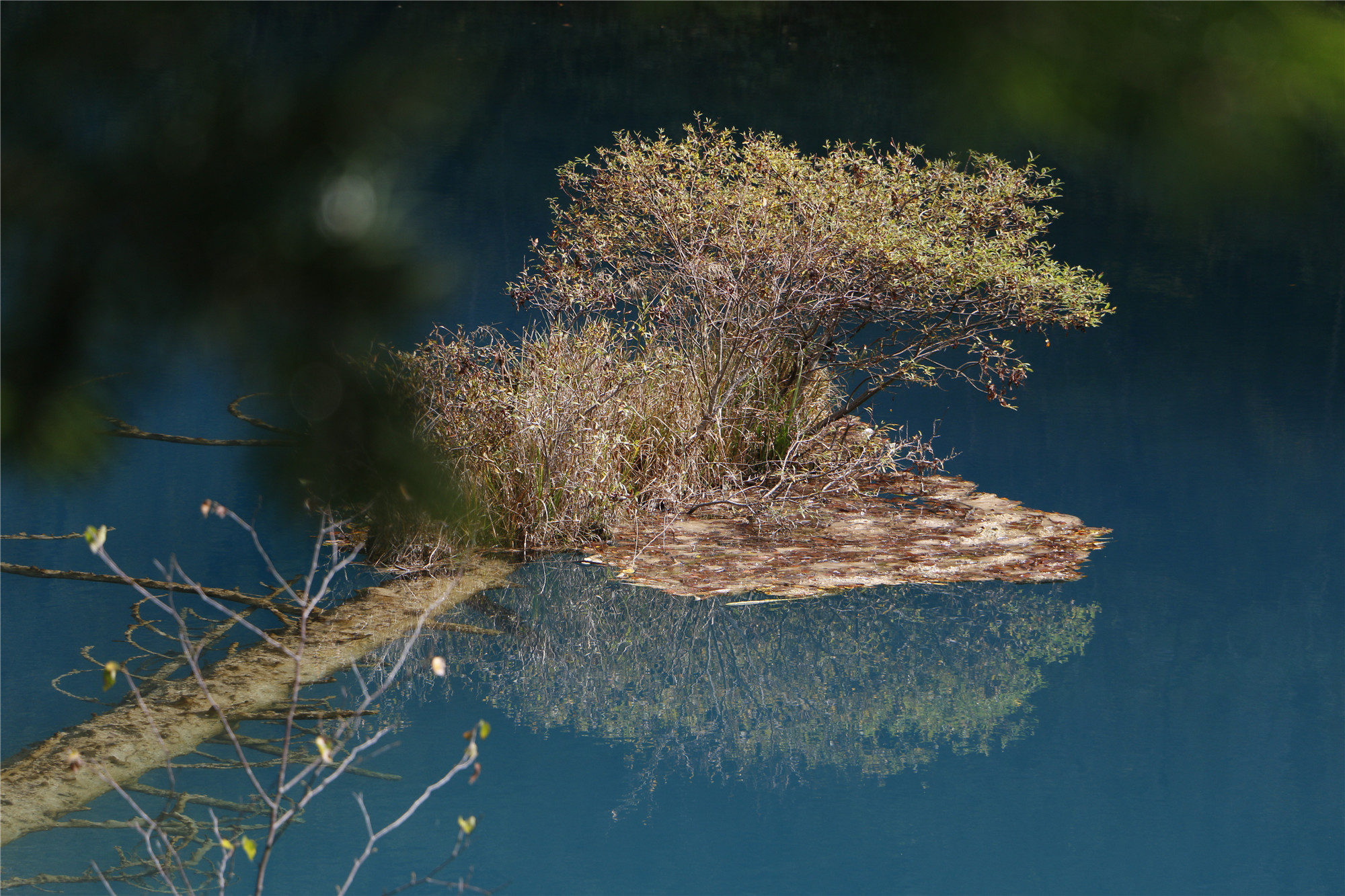 映+四川成渝高速公路股份有限公司成渝分公司资阳管理处+王燕_副本