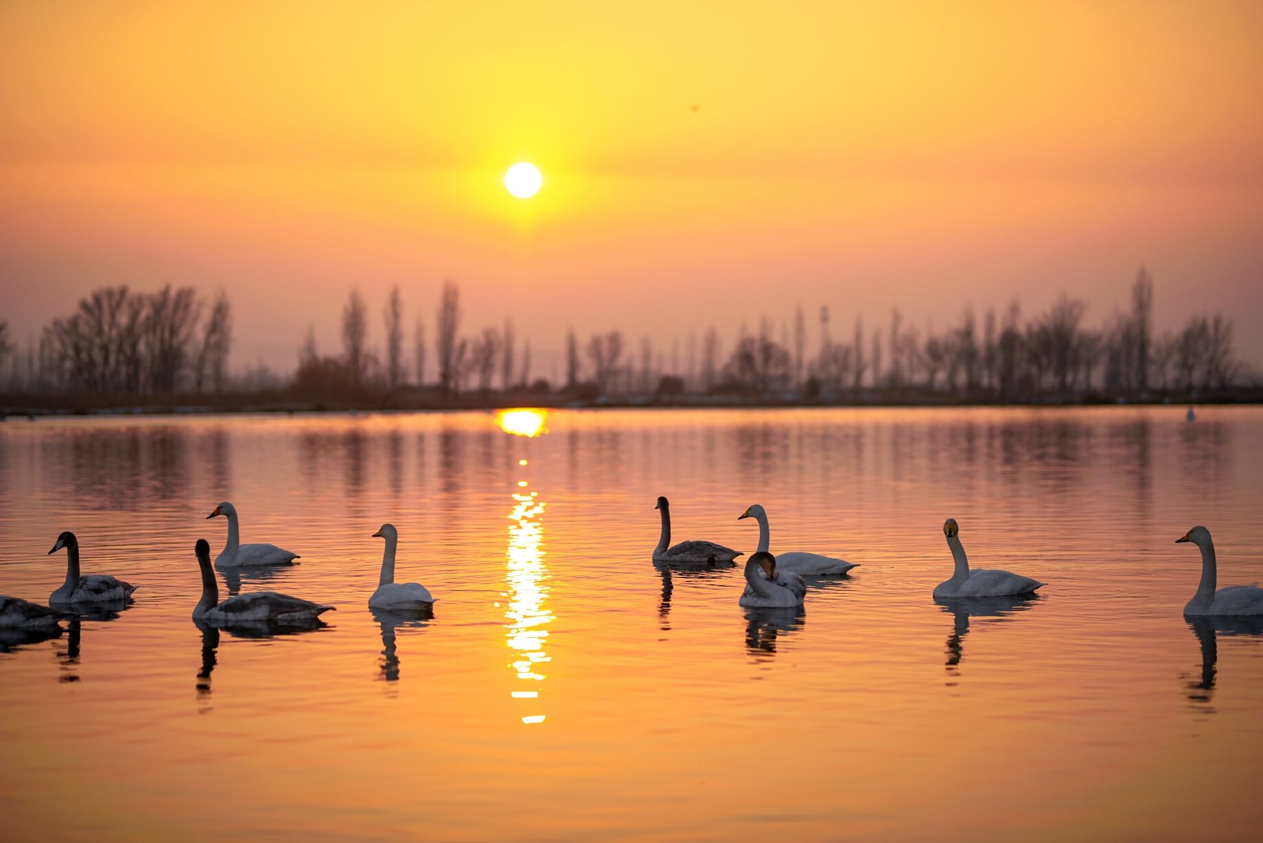 暮归——四川成渝高速公路股份有限公司成渝分公司陈鑫
