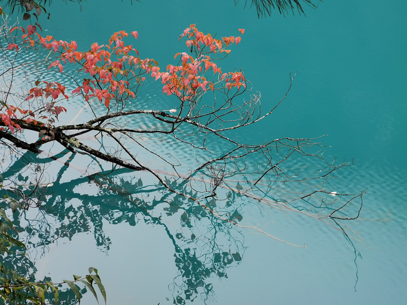 湛蓝+四川成渝高速公路股份有限公司成渝分公司资阳管理处+王燕