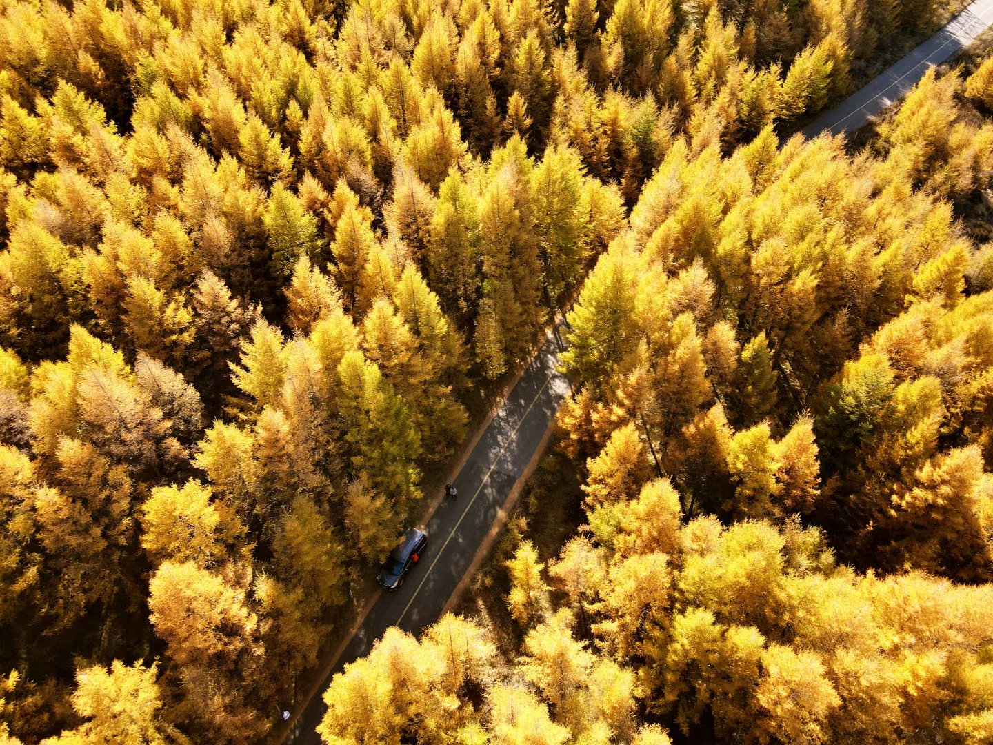 被秋包裹——四川成渝高速公路股份有限公司成渝分公司 蔡勇华