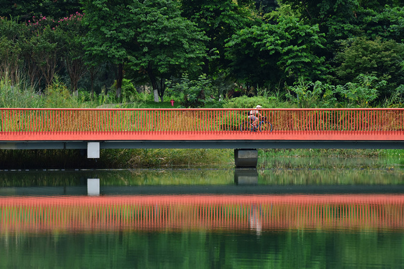 公园一角——四川成渝高速公路股份有限公司成渝分公司 蒙丽琴