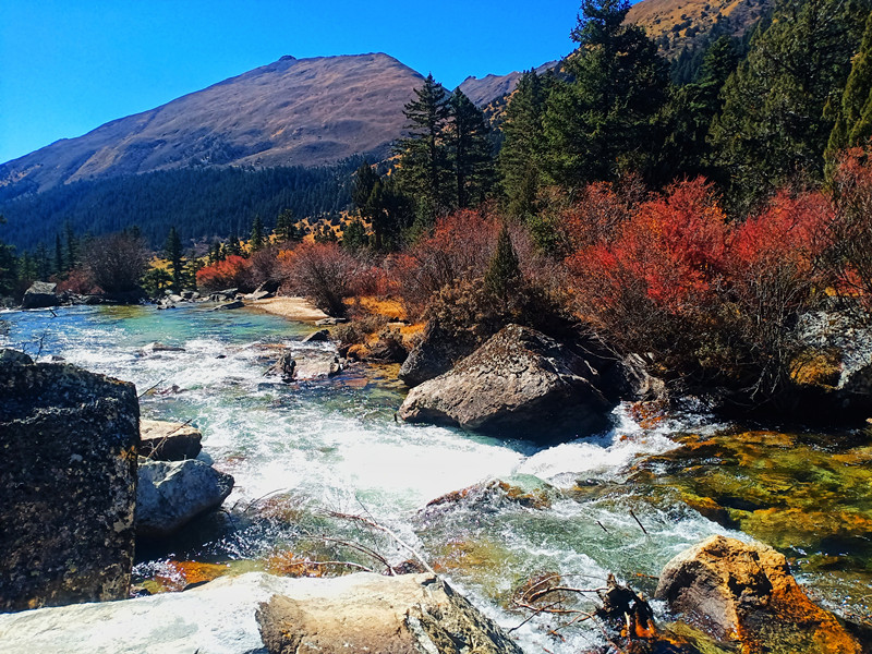 潺潺溪水—四川成渝高速公路股份有限公司成渝分公司-廖小波_副本