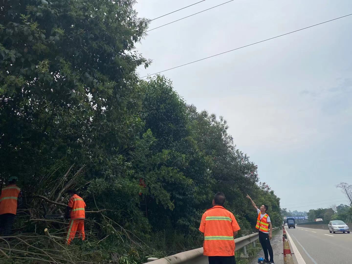 资阳管理处迅速处置横跨高速公路线路安全隐患