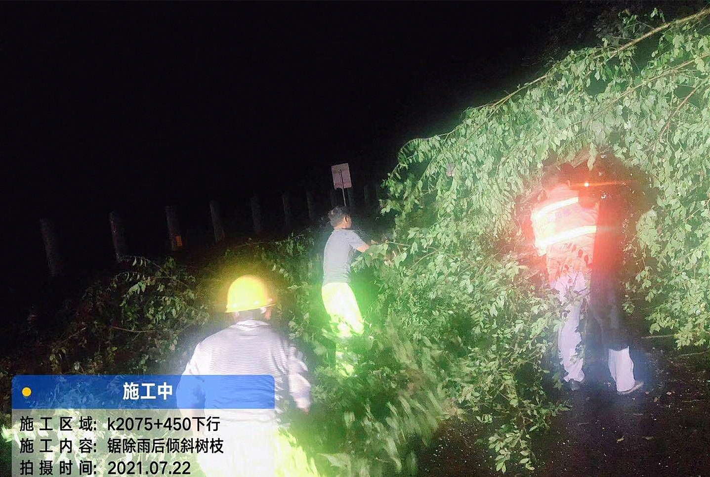 成都管理处及时消除行道树倾斜安全隐患