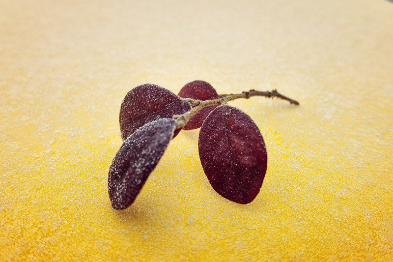 32、冬韵+四川成渝高速公路股份有限公司成渝分公司资阳管理处+贺晓、_副本