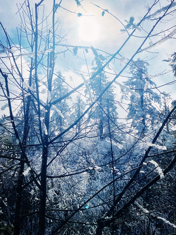 冬日峨眉——四川成渝高速公路股份有限公司成渝分公司+秦英杰_副本