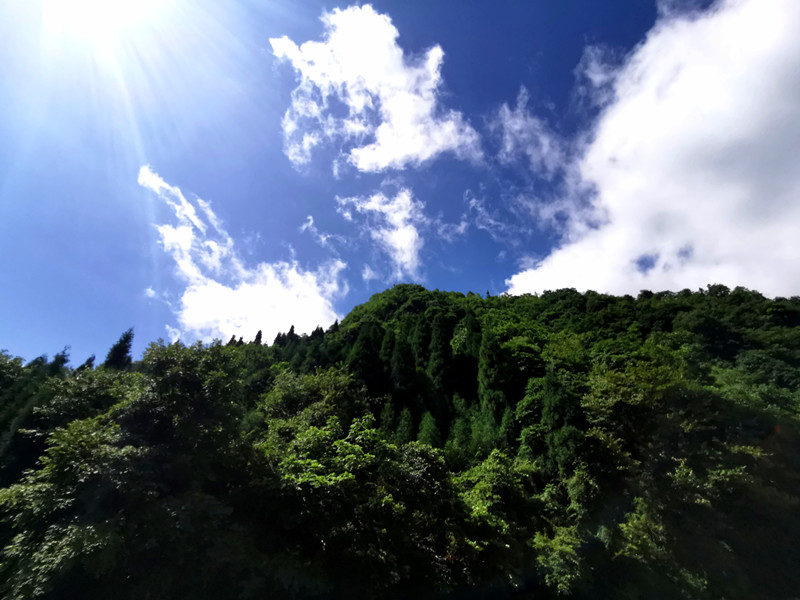 蓝天白云青山—四川成渝高速公路股份有限公司成渝分公司周德全_副本