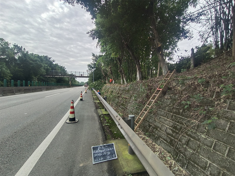 内江管理处开展绿化剪枝工作