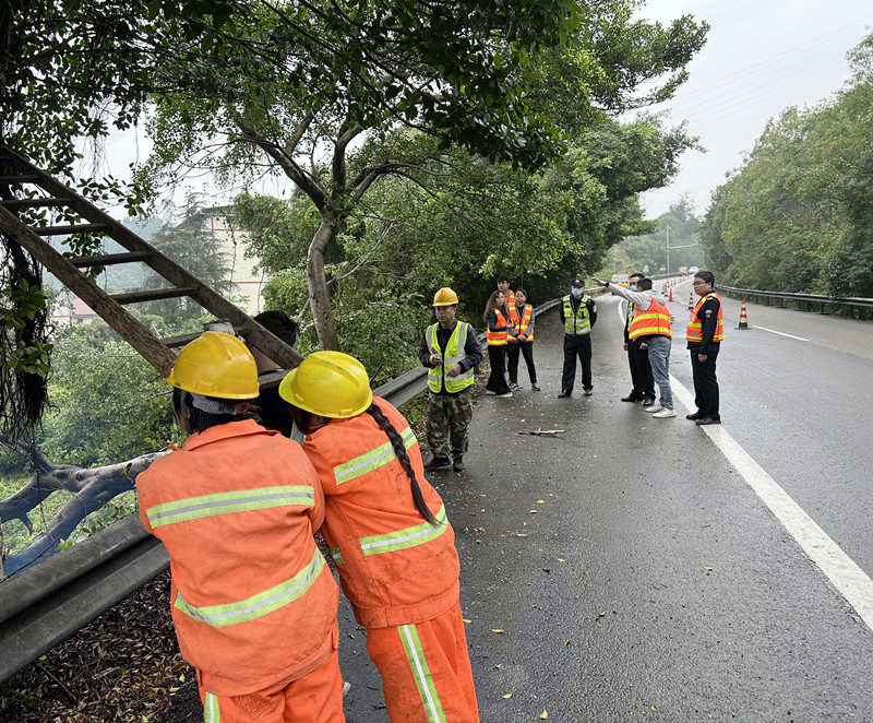 资阳管理处开展三角区域绿化树木整形修剪作业
