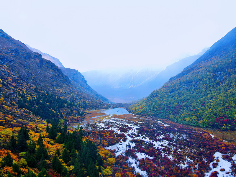 满山红叶——四川成渝高速公路股份有限公司成渝分公司林琳_副本