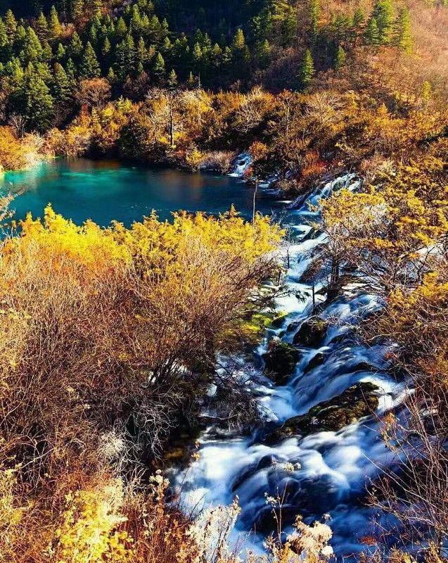 秋色浓——四川成渝高速公路股份有限公司成渝分公司唐艳_副本