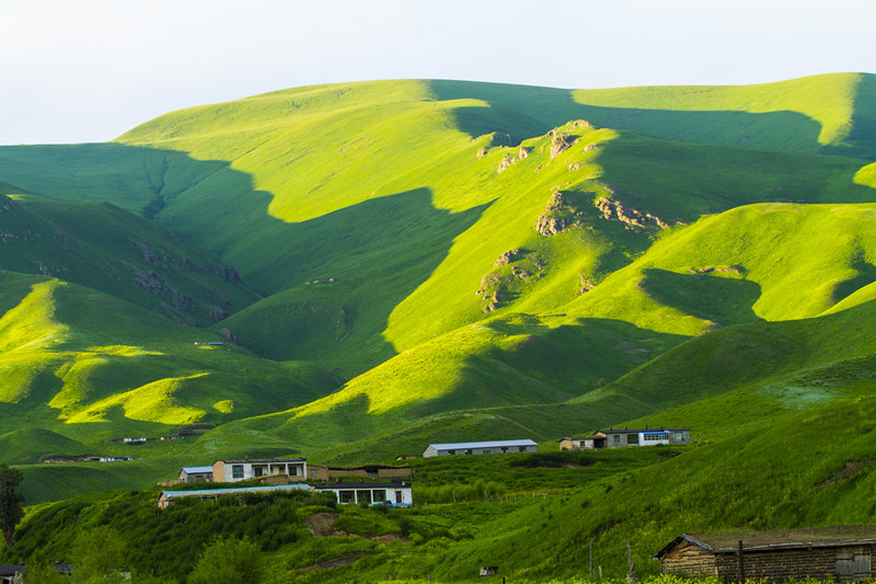高山草甸+四川成渝高速公路股份有限公司成渝分公司 冯朝理_副本