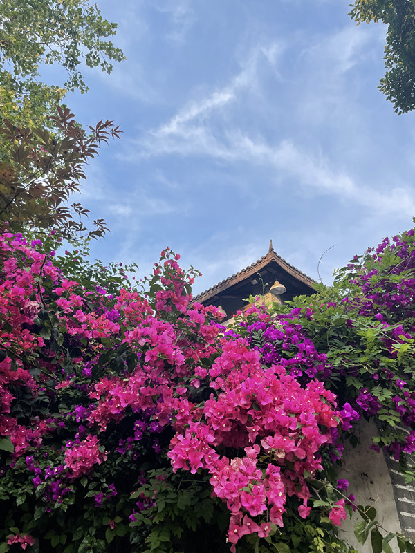 612、花开三角+四川成渝高速公路股份有限公司成渝分公司资阳管理处+陈晓柯