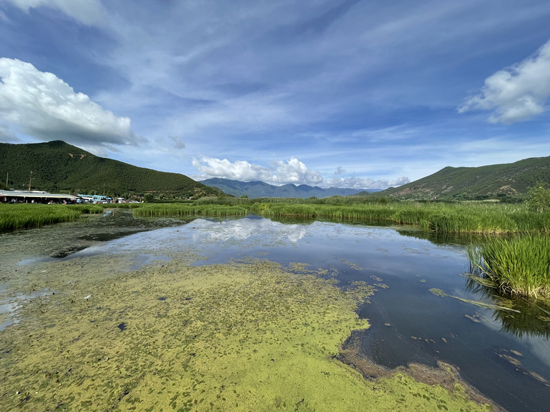 611、心之所向+四川成渝高速公路股份有限公司成渝分公司资阳管理处+邓丽艳