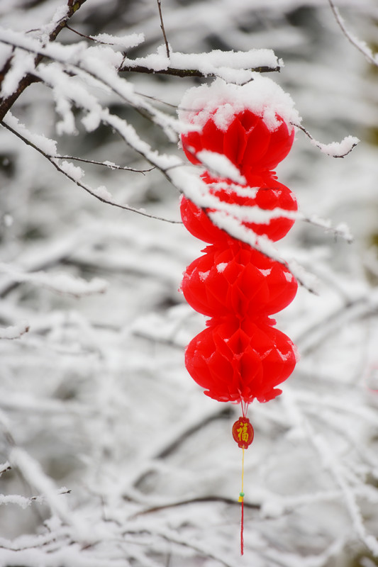 瑞雪兆丰年——四川成渝高速公路股份有限公司成渝分公司 蒙丽琴_副本