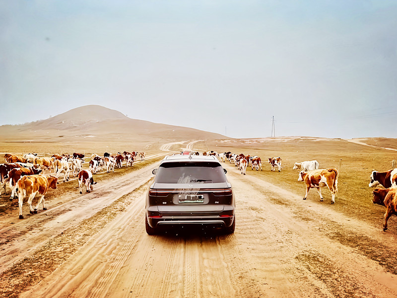 同行——四川成渝高速公路股份有限公司成渝分公司+吴嗣芳_副本