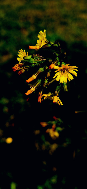 134、夜魅+四川成渝高速公路股份有限公司成渝分公司资阳管理处+干昌友_副本