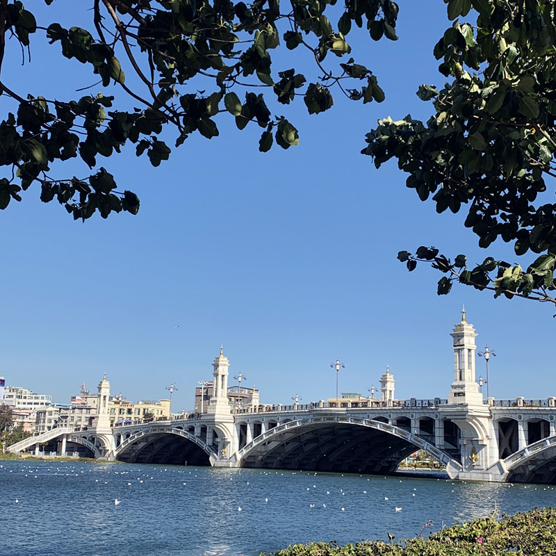 宁静——四川成渝高速公路股份有限公司成渝分公司雷雅君_副本