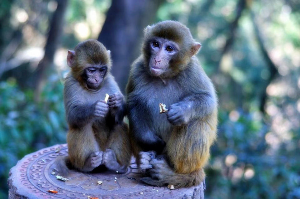 陪伴—四川成渝高速公路股份有限公司成渝分公司廖琴_副本