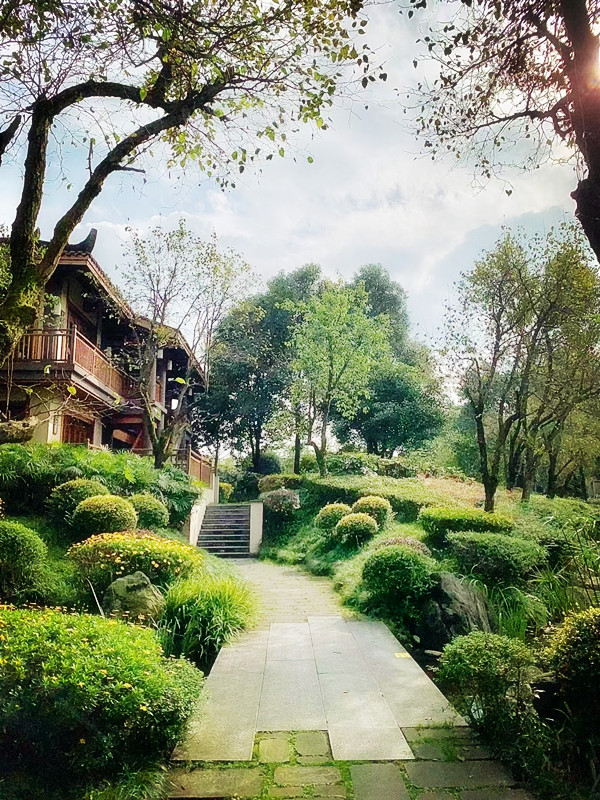 曲径通幽——四川成渝高速公路股份有限公司成渝分公司杨雪莲_副本