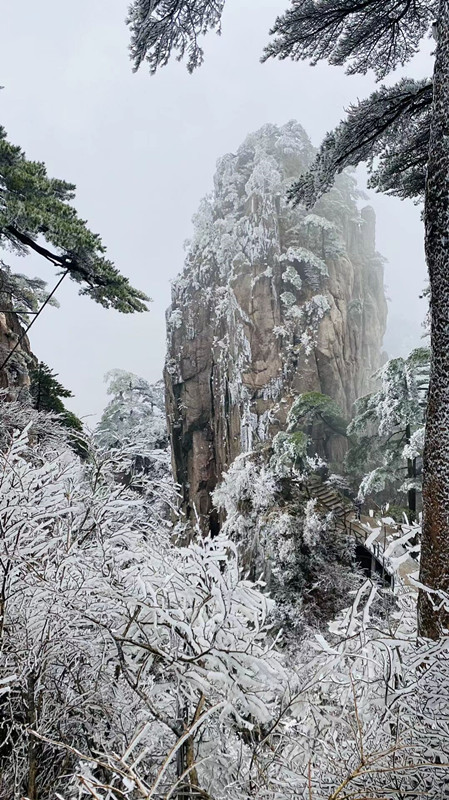 雪中伫立——四川成渝高速公路股份有限公司成渝分公司陈鑫_副本