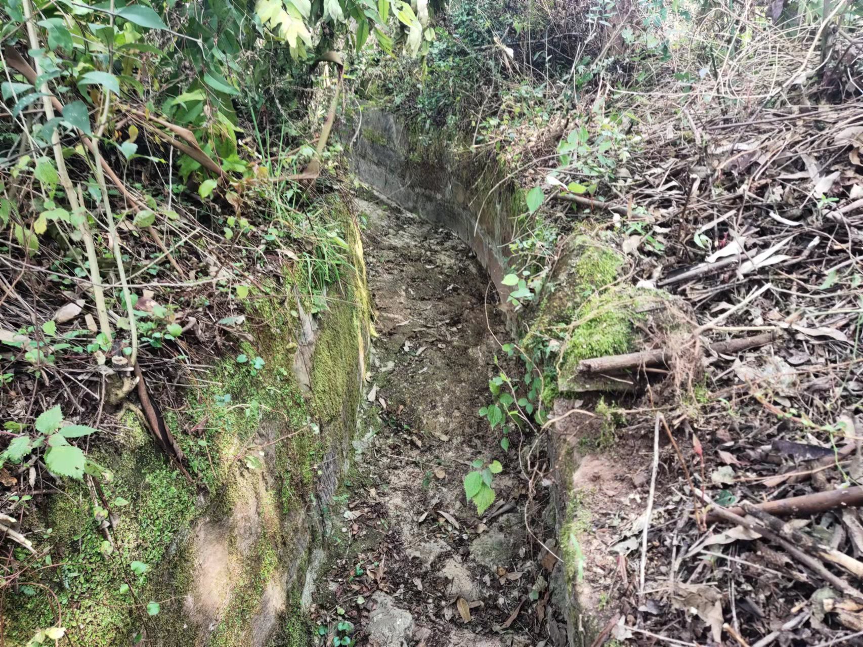 成都管理处完成汛前隧道截水沟清理工作