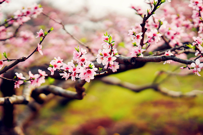 春来+四川成渝高速公路股份有限公司成渝分公司资阳管理处+贺晓_副本