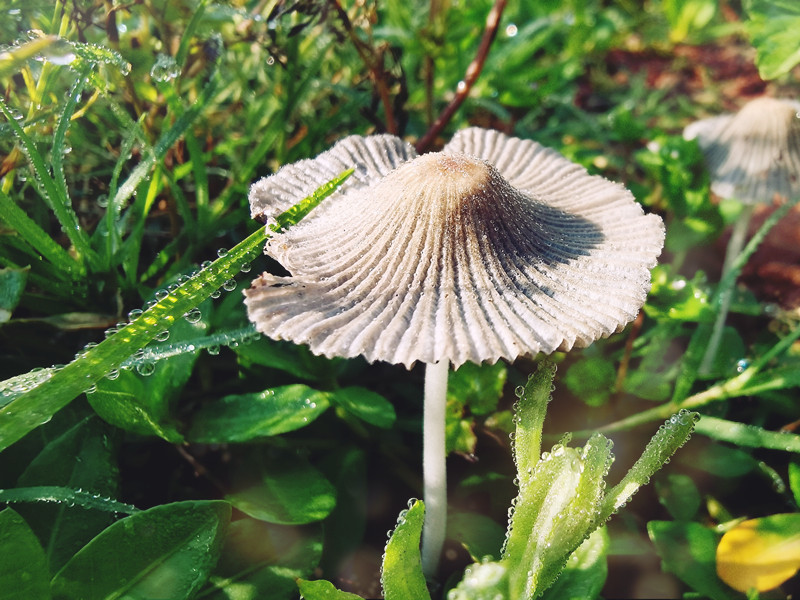 250、亭亭玉立+四川成渝高速公路股份有限公司成渝分公司资阳管理处+邹丽_副本