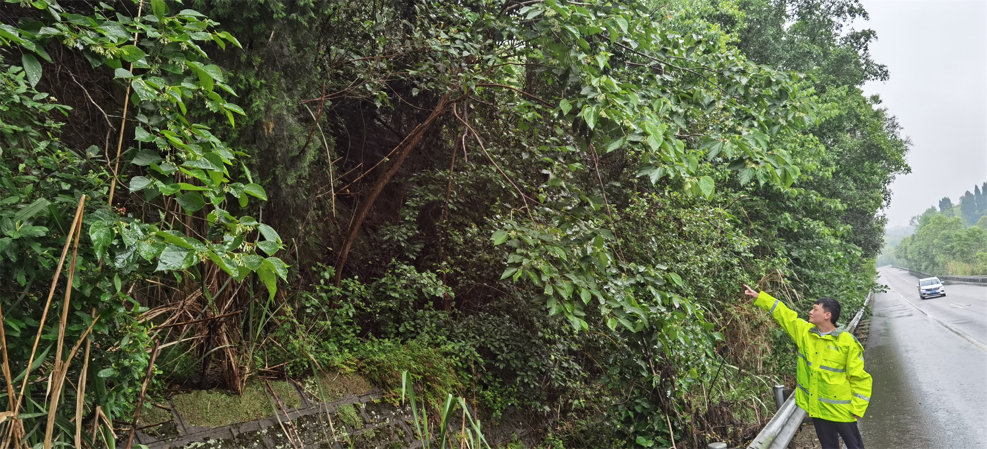 内江管理处开展雨中高边坡隐患排查工作