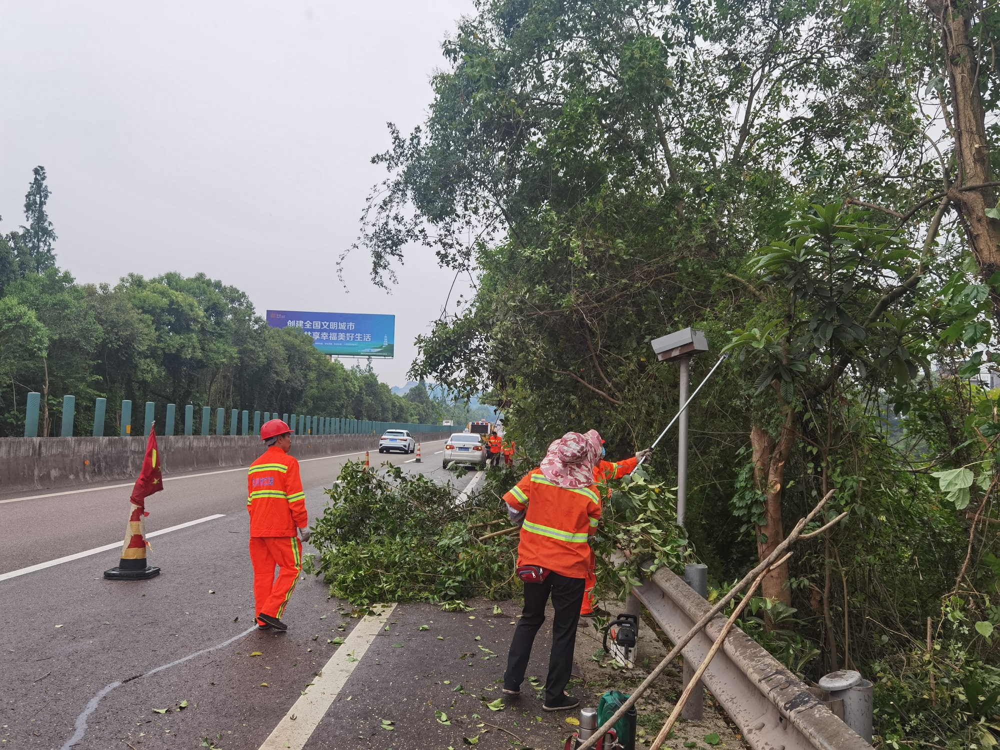 2022.5.23+成渝分公司+成都管理处及时开展管段影响道路行车安全行道树修剪工作+唐诗瑶
