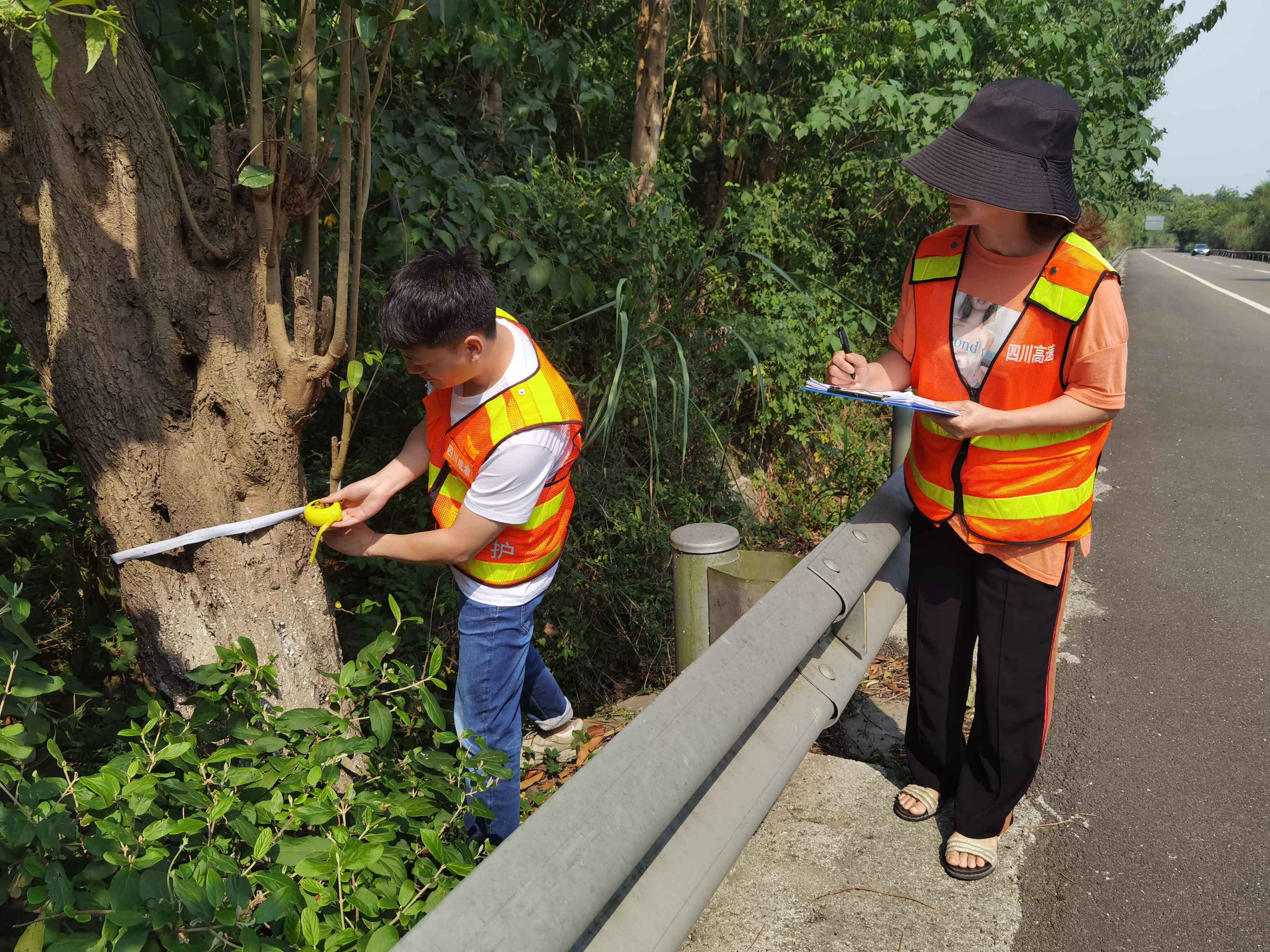 2022.7.26+成渝分公司+内江管理处完成保洁绿化招标前期调查+雷腾森