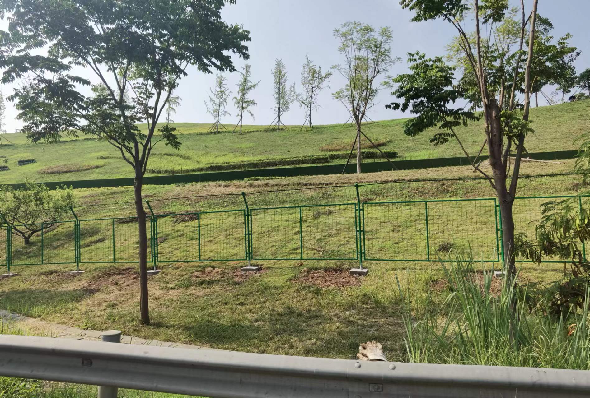 8.1+李林+成渝高速高新区收费站匝道隔离栅完成安装验收工作