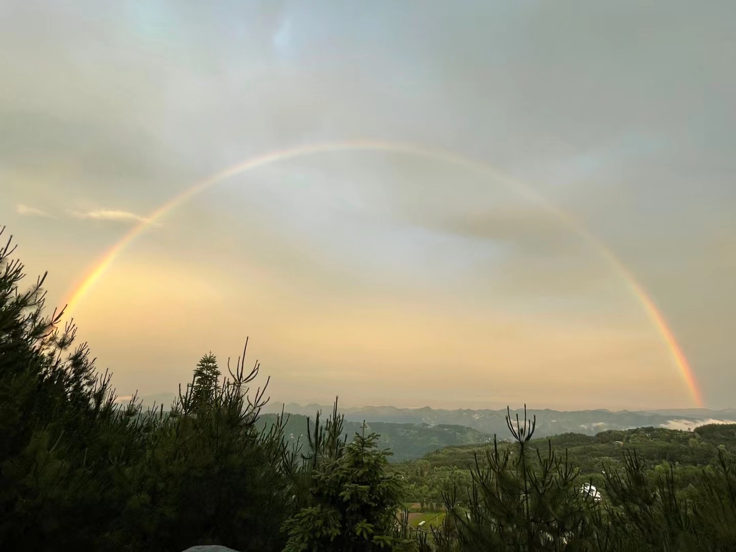 雨后彩虹——四川成渝高速公路股份有限公司成渝分公司吴先菊