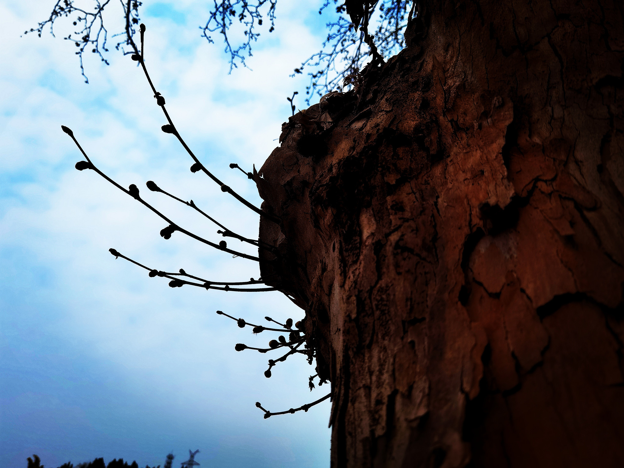 初芽+四川成渝高速公路股份有限公司成渝分公司资阳管理处+邹丽_副本