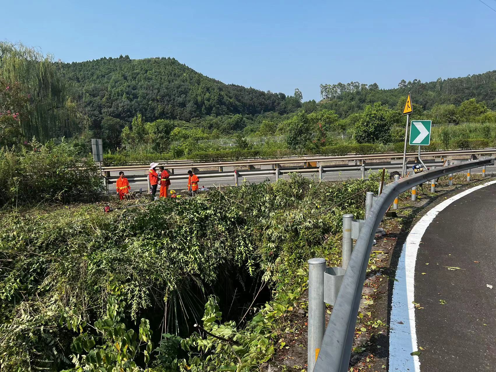 成都管理处开展路段匝道三角带车辆汇流区域视线通透性点位调查整改工作