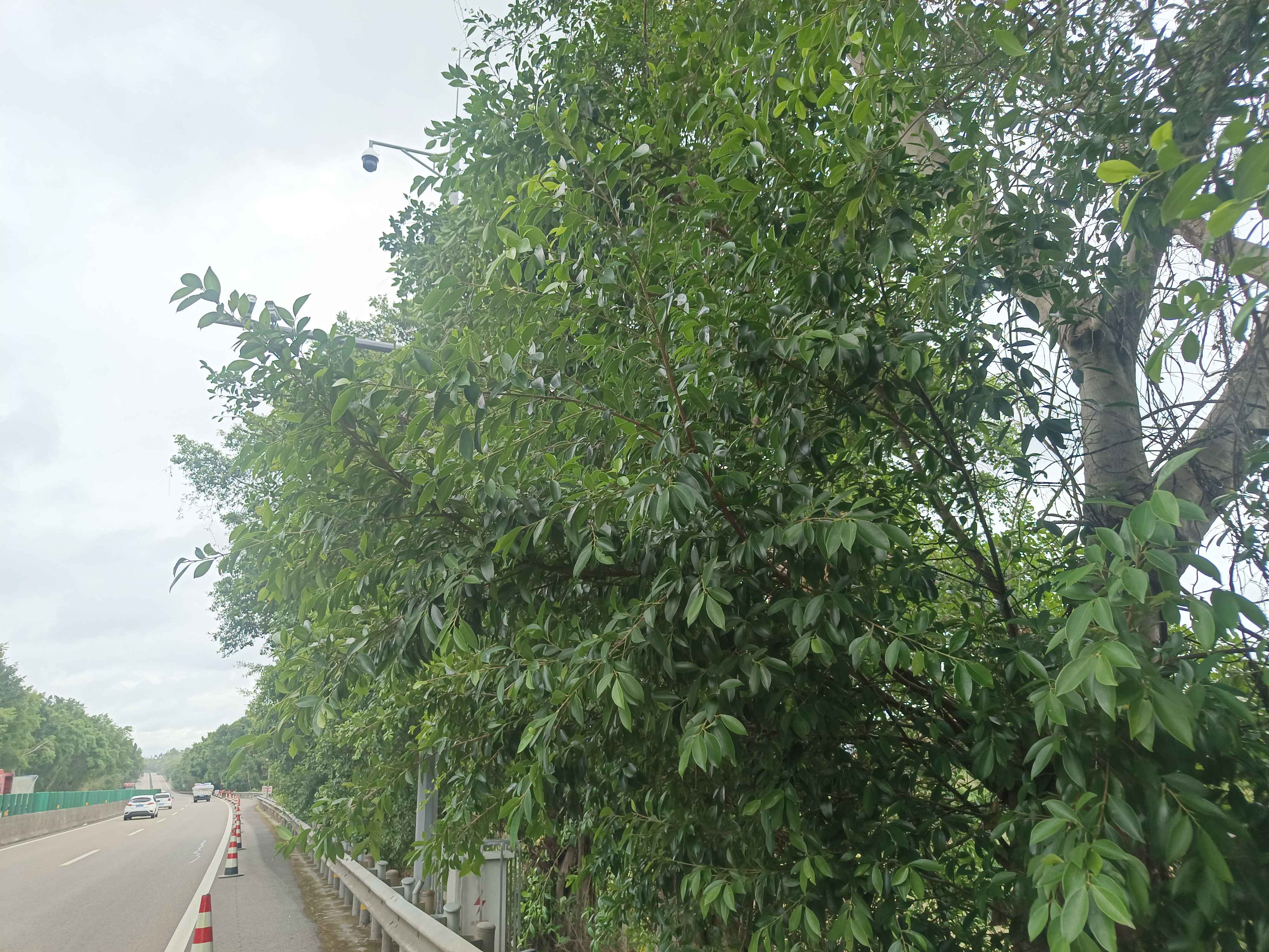 内江管理处联合施工单位实地查看路内监控设备