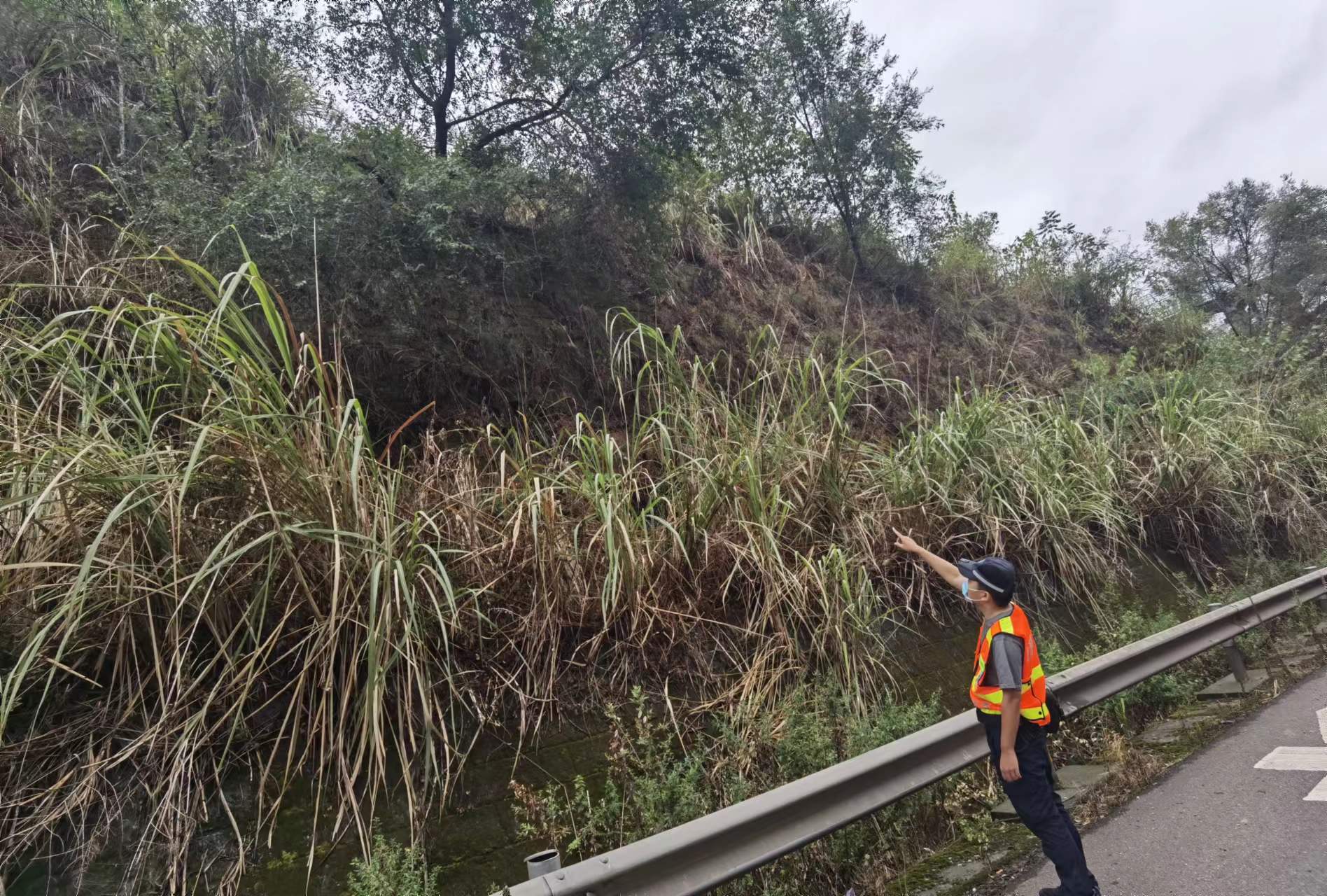 资阳管理处开展辖区道路雨后核查