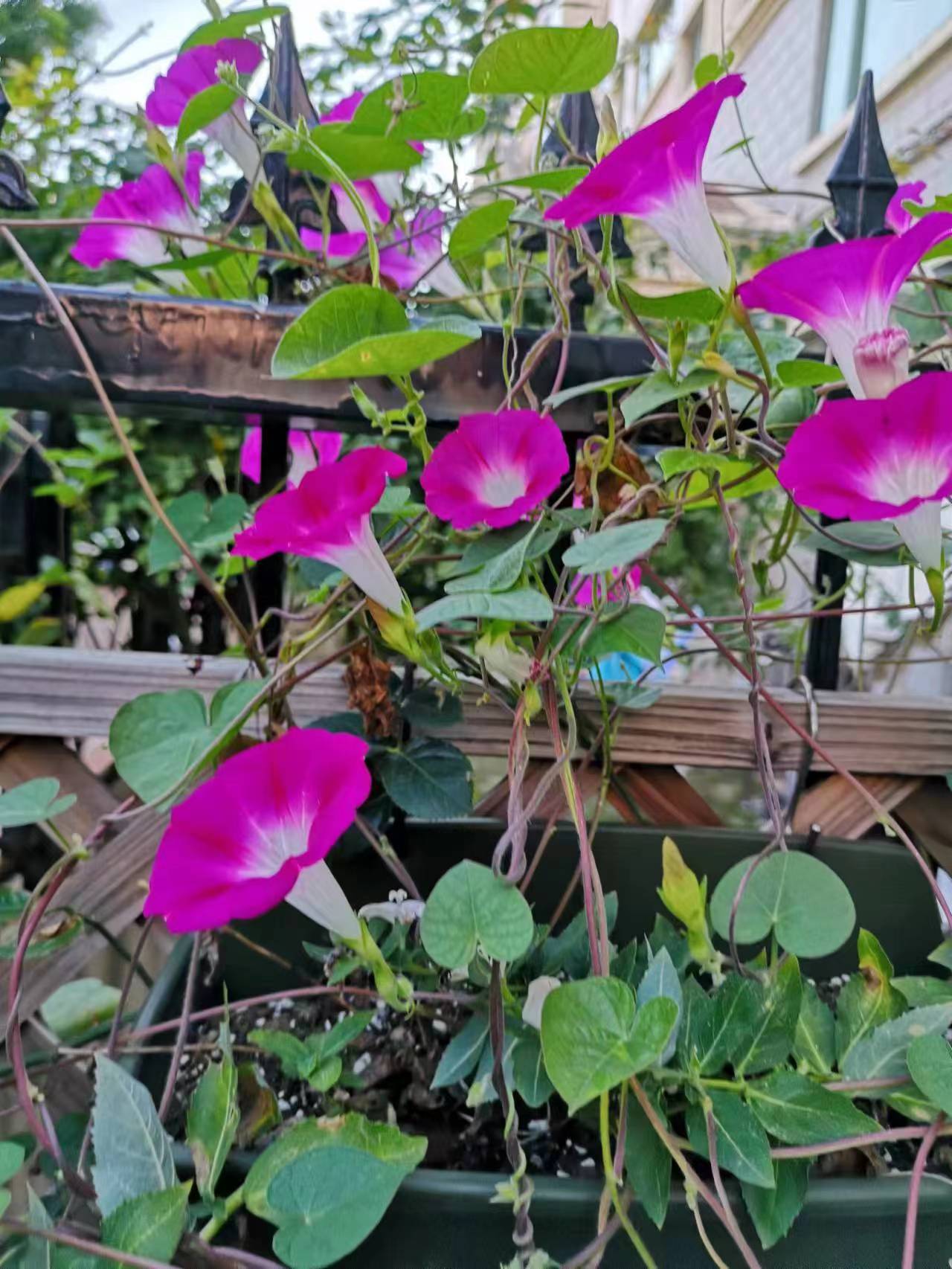 热闹——成渝高速公路股份有限公司成渝分公司张昕