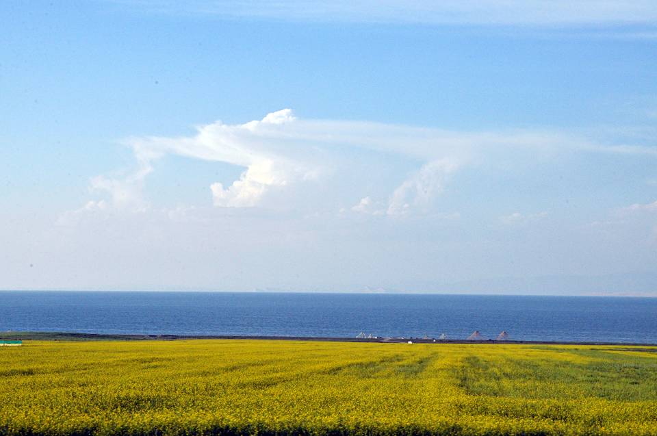 水天一线——四川成渝高速公路股份有限公司成渝分公司 蒙丽琴