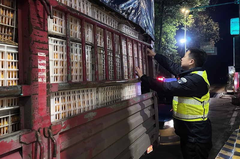 资阳管理处联合高速公路交通执法第一支队四大队开展鲜活车辆专项稽查行动