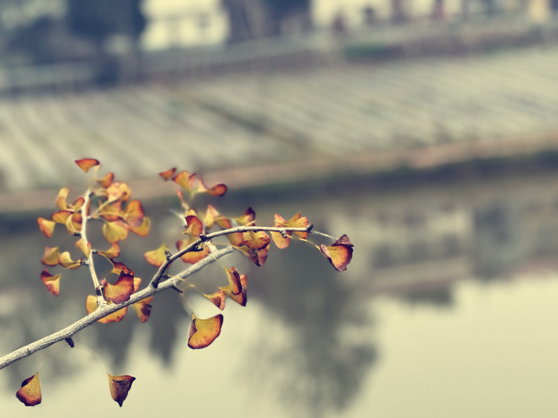 知秋——四川成渝高速公路股份有限公司成渝分公司 孙东华