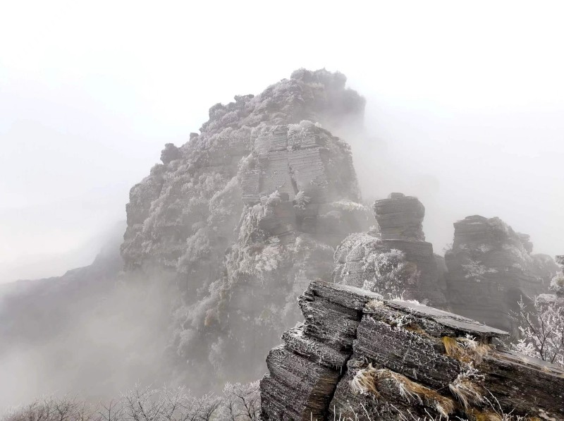 日暮秋烟起+成渝分成都处+苏堃+中国建设银行成都第七支行