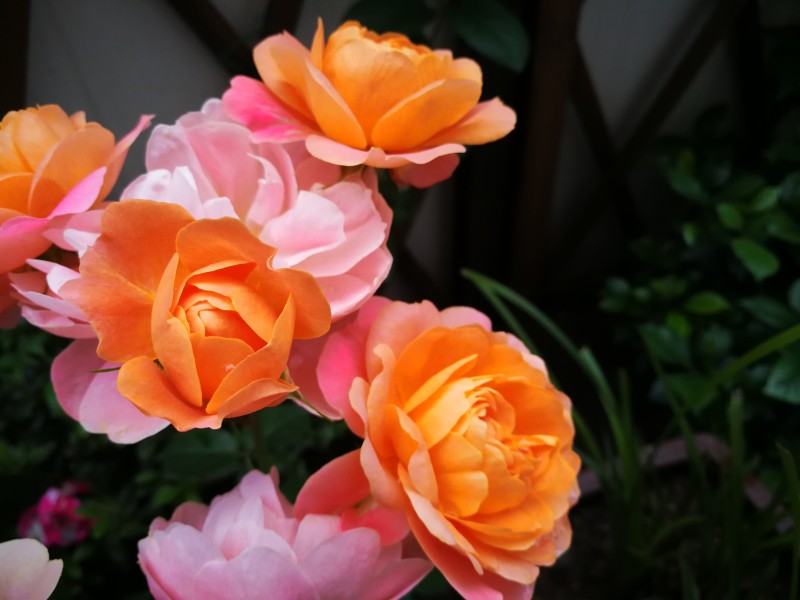 群芳——四川成渝高速公路股份有限公司成渝分公司孙东华