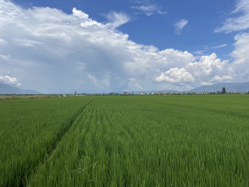 绿+四川成渝高速公路股份有限公司成渝分公司资阳管理处+邓丽艳