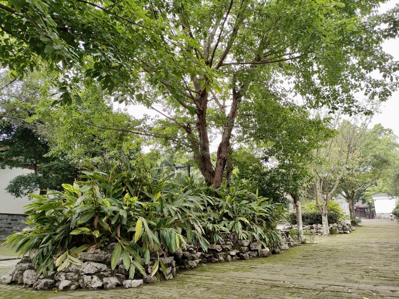 园林小景——四川成渝高速公路股份有限公司成渝分公司钟晓峰