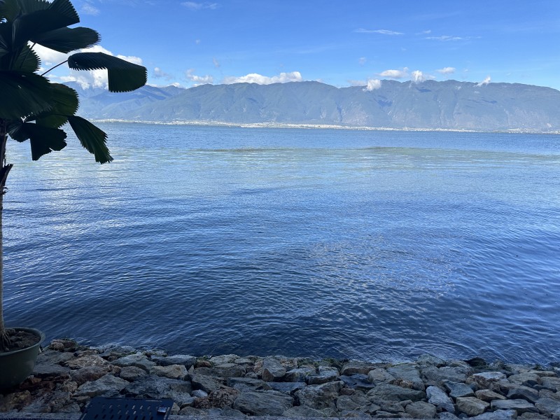 洱海+成都管理处+方媛