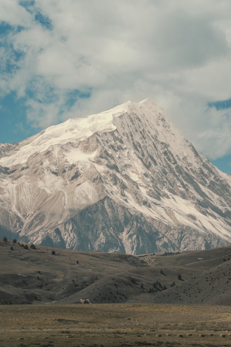 高山仰止+成都管理处+任丽娜