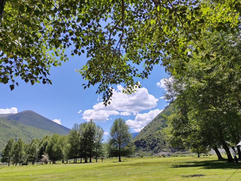 绿树成荫+余蕾+成都管理处