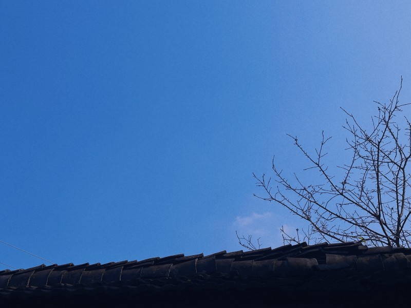 深秋迟暮，新冬可期+四川成渝高速公路股份有限公司成渝分公司资阳管理处+尹欢