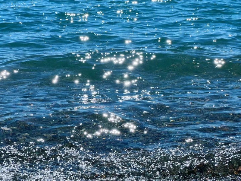 水花满天+四川成渝高速公路股份有限公司成渝分公司资阳管理处+杨素华